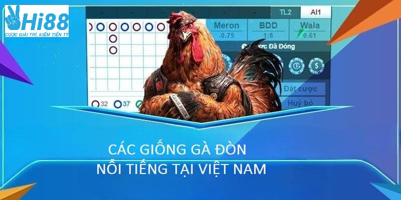 Các giống đá gà đòn nổi tiếng nhất Việt Nam