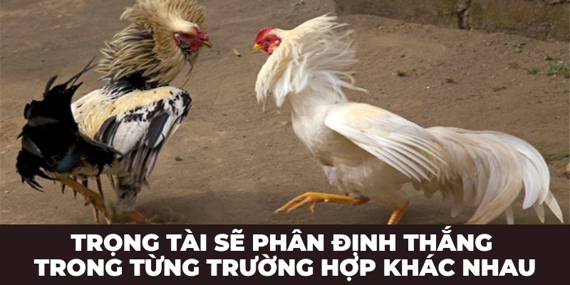 Trọng tài sẽ phân định thắng trong từng trường hợp khác nhau